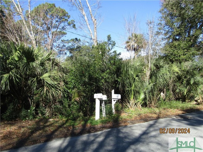 Lush lot on Tybee's North end.  Here is your opportunity to own - Beach Lot for sale in Tybee Island, Georgia on Beachhouse.com