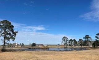 Welcome to Lot 69 in Bridgewater Subdivision. Lot has 92+- - Beach Lot for sale in Theodore, Alabama on Beachhouse.com