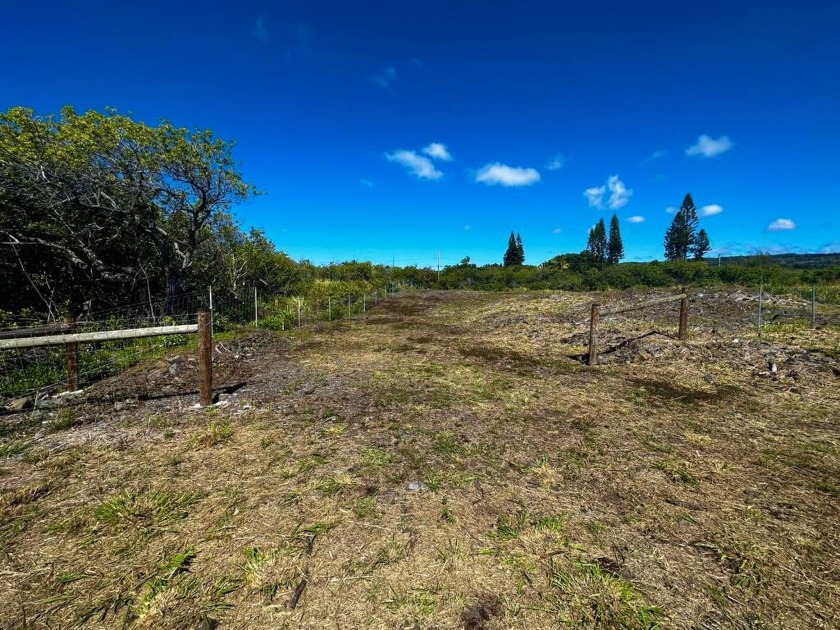 This is your chance to have had someone do all the prep *ground* - Beach Lot for sale in Naalehu, Hawaii on Beachhouse.com