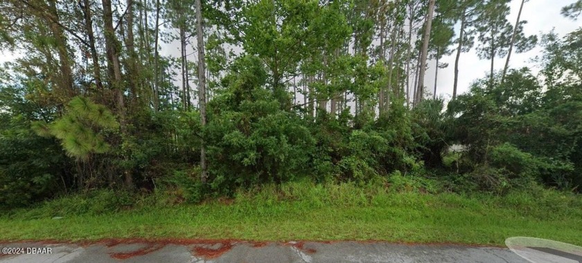 Over 15,000 square foot oversized buildable dry lot in the - Beach Lot for sale in Palm Coast, Florida on Beachhouse.com