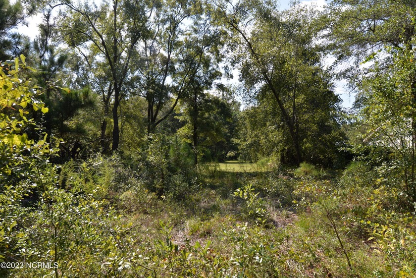 This is a nice piece of land in a quiet and nicely developed - Beach Acreage for sale in Supply, North Carolina on Beachhouse.com