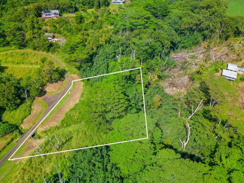 This unit is hilly and heavily forested and priced accordingly - Beach Acreage for sale in Kapaa, Hawaii on Beachhouse.com