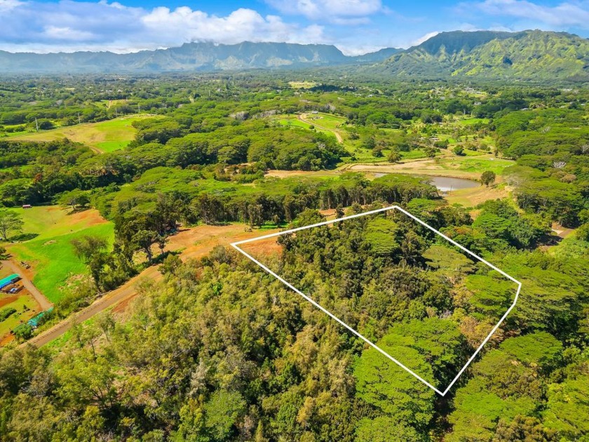 Unit 8D is heavily wooded giving the buyer the opportunity to do - Beach Lot for sale in Kapaa, Hawaii on Beachhouse.com
