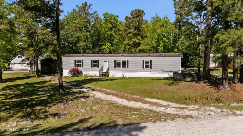 Welcome to your private oasis at 313 Buck Drive in the serene - Beach Home for sale in Hampstead, North Carolina on Beachhouse.com