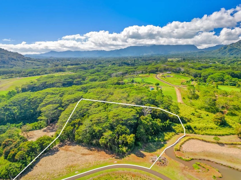 Nice view of the association common area lake.  Peaceful valley - Beach Acreage for sale in Kapaa, Hawaii on Beachhouse.com