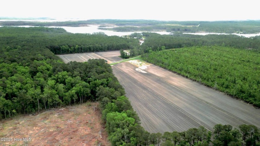 Beautiful agricultural and timber property on the east and west - Beach Acreage for sale in Merritt, North Carolina on Beachhouse.com