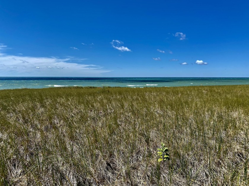 Rare find In Ludington! One of the last unbuilt flat parcels on - Beach Lot for sale in Ludington, Michigan on Beachhouse.com