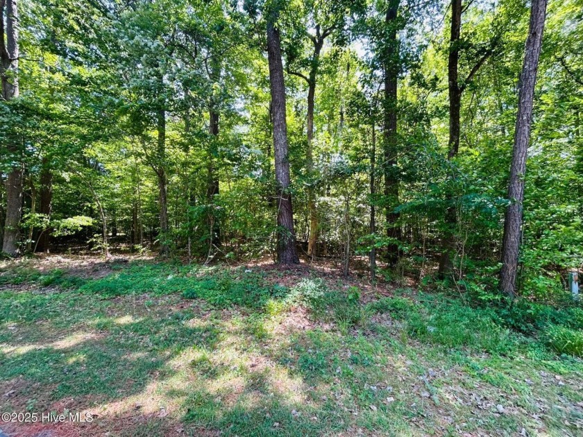 Canal Front lot located in the Holiday Island subdivision of - Beach Lot for sale in Hertford, North Carolina on Beachhouse.com