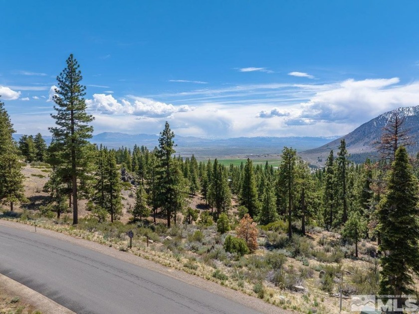 Clear Creek Tahoe is Northern Nevada's most exciting new - Beach Lot for sale in Carson City, Nevada on Beachhouse.com