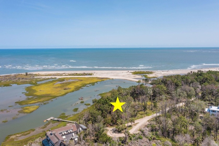 1 acre lot with unobstructed views of the Atlantic Ocean. This - Beach Lot for sale in Dewees Island, South Carolina on Beachhouse.com