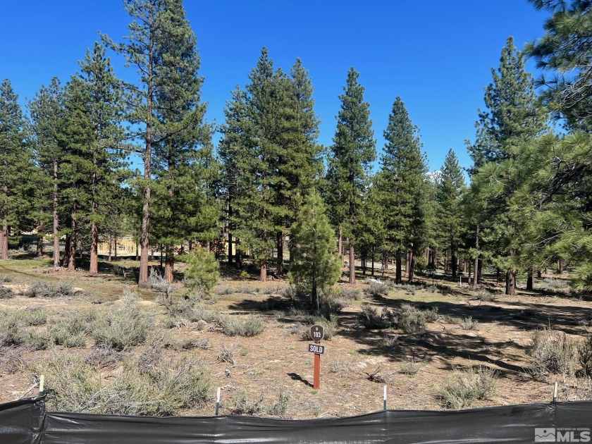 This site is almost a perfect half-acre square -- a fitting - Beach Lot for sale in Carson City, Nevada on Beachhouse.com