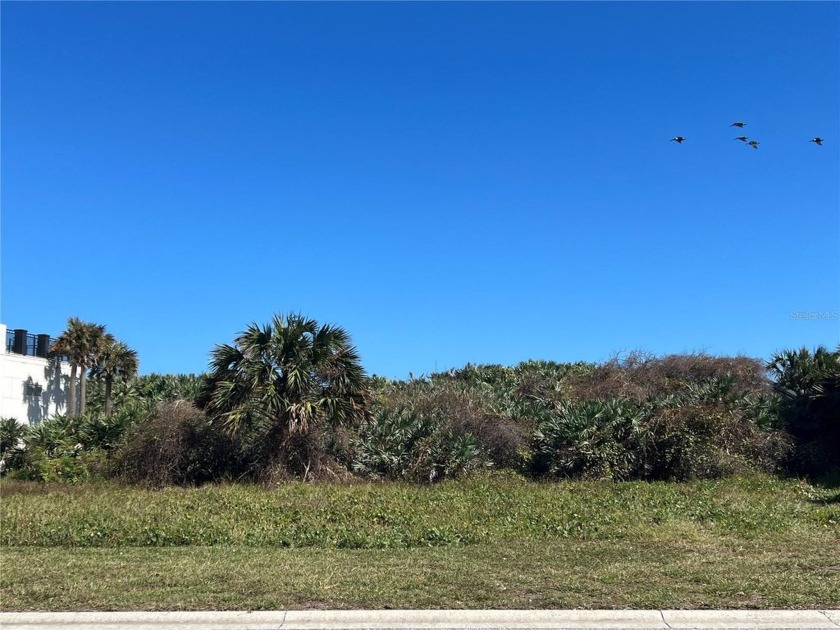 Looking to build a luxury Ocean Front dream home? Then look no - Beach Lot for sale in Palm Coast, Florida on Beachhouse.com