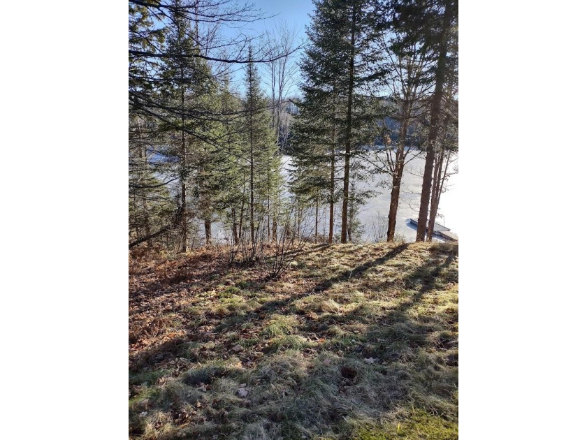 Beautiful building lot on great fishing lake, located at the end - Beach Lot for sale in Presque Isle, Michigan on Beachhouse.com