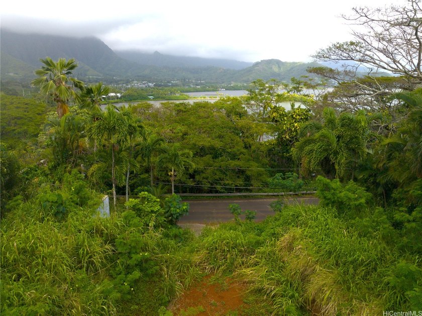 Attention ocean lovers! Lush Lulani Ocean lot priced to sell - Beach Lot for sale in Kaneohe, Hawaii on Beachhouse.com