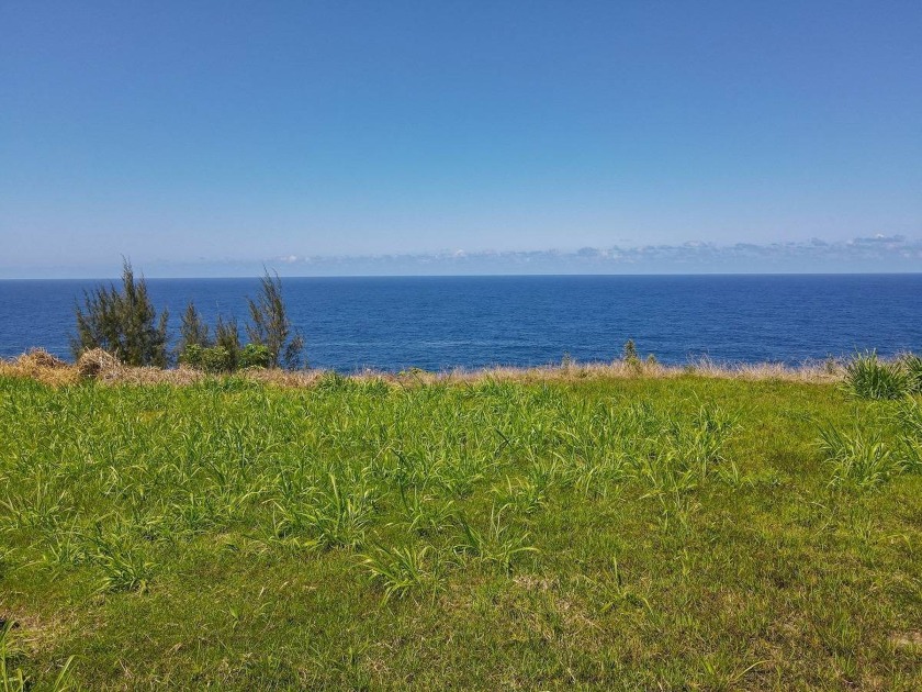 BUILDABLE HAMAKUA OCEANFRONT PARCEL FOR ONLY $495,000!! Priced - Beach Lot for sale in Ninole, Hawaii on Beachhouse.com
