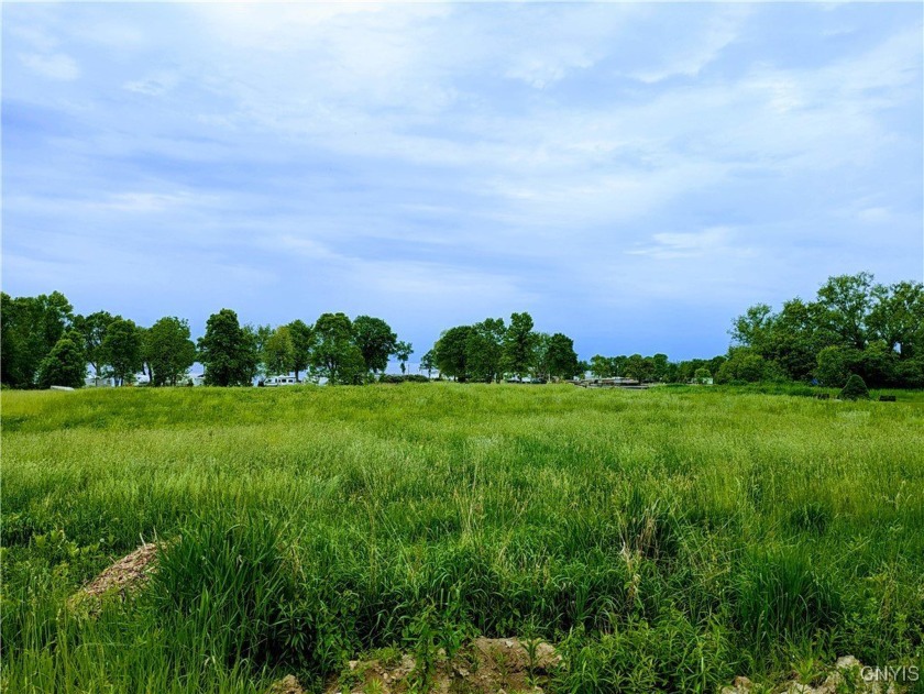 Great building lot!! an acre with views of the lake now - Beach Lot for sale in Cape Vincent, New York on Beachhouse.com