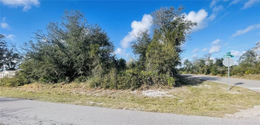 Discover Peace River Shores! This corner lot, nestled within a - Beach Lot for sale in Punta Gorda, Florida on Beachhouse.com