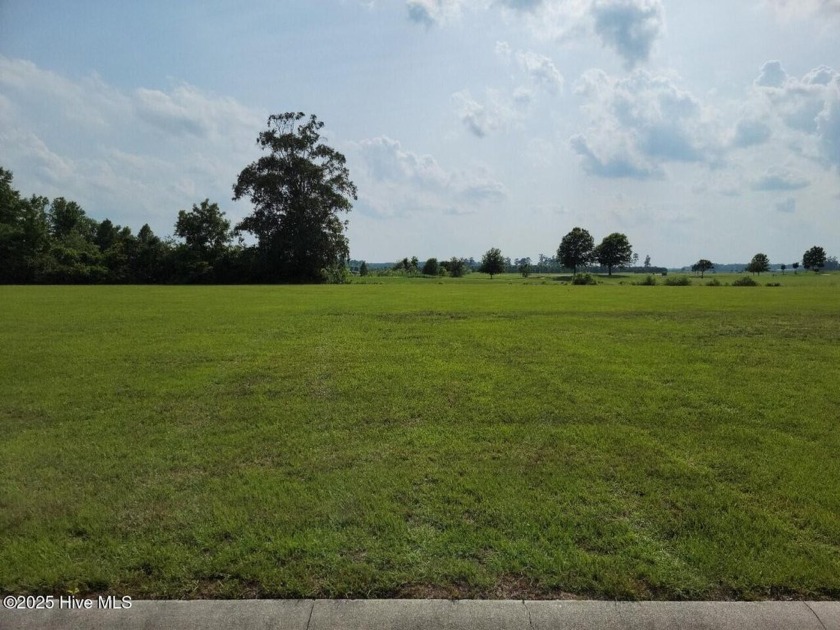 Looking for elbow room in a gated community? Like no houses - Beach Lot for sale in Merry Hill, North Carolina on Beachhouse.com