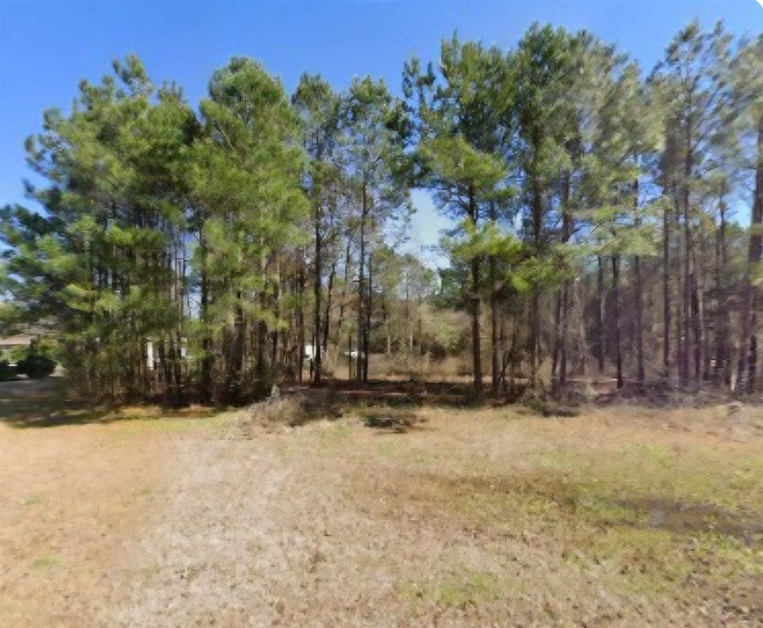 One acre lot available with no HOA!  Build your home or add your - Beach Lot for sale in Longs, South Carolina on Beachhouse.com