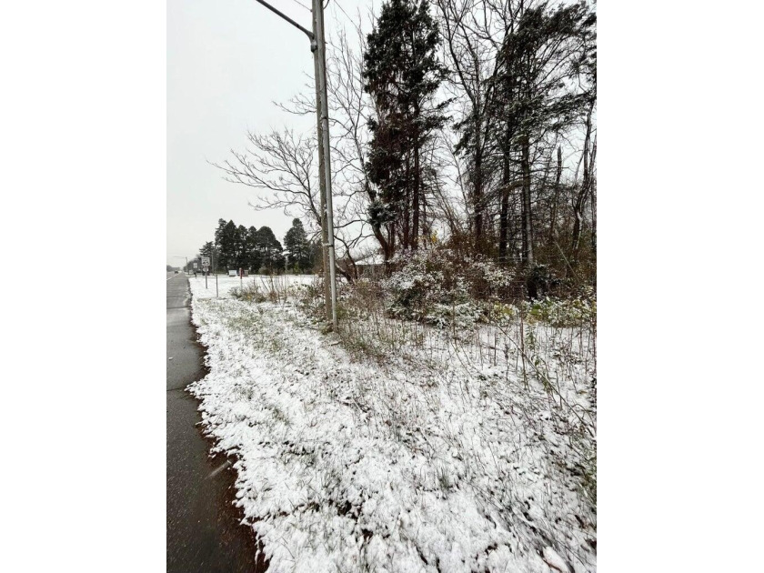 Location, Location, Location! This centrally located 2 acre - Beach Acreage for sale in Saint Joseph, Michigan on Beachhouse.com