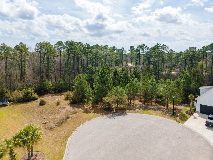 This beautiful wooded lot is near the end of Palo Verde Dr - Beach Lot for sale in Myrtle Beach, South Carolina on Beachhouse.com