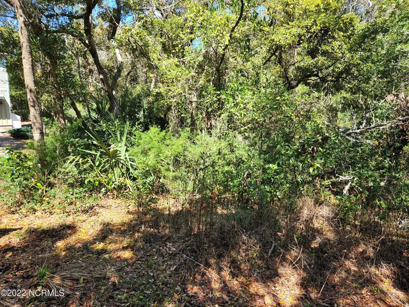 High wooded homesite at the end of a private cul-de-sac. A home - Beach Lot for sale in Bald Head Island, North Carolina on Beachhouse.com