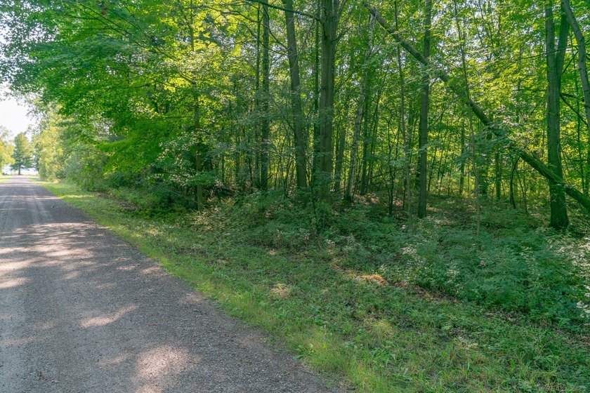 BEACH ACCESS comes with this vacant wooded lot!! Just a short - Beach Lot for sale in Harbor Beach, Michigan on Beachhouse.com