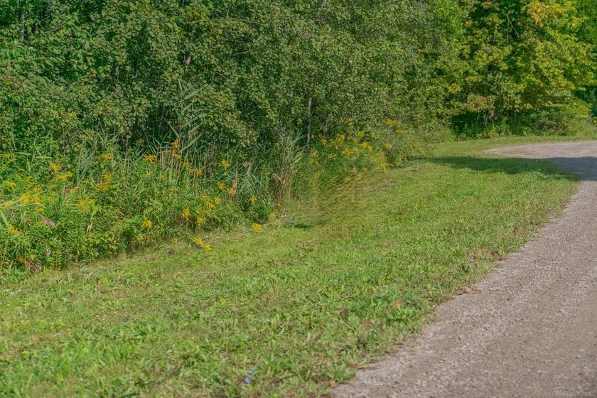 BEACH ACCESS comes with this vacant wooded lot!! Just a short - Beach Lot for sale in Harbor Beach, Michigan on Beachhouse.com