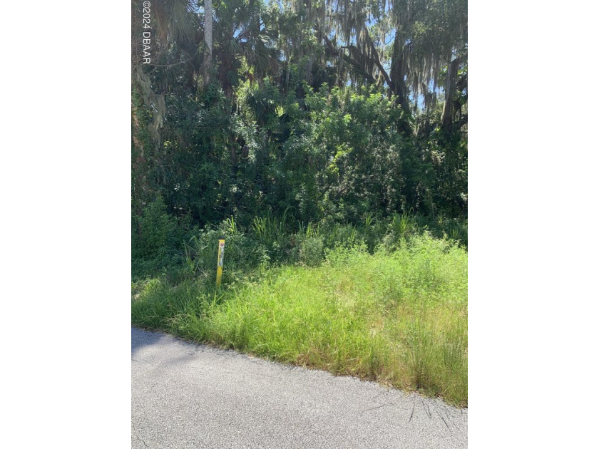 IRREGULAT SHAPE LOT ON A PAVED ROAD. AREA OF NICE NEWER HOMES - Beach Lot for sale in New Smyrna Beach, Florida on Beachhouse.com