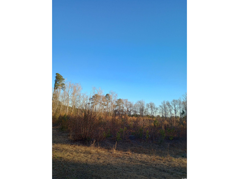 Golden opportunity to own 12.5 acers in Longs SC close to Cherry - Beach Acreage for sale in Longs, South Carolina on Beachhouse.com