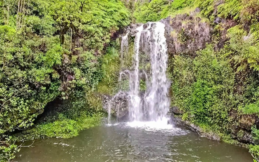 Pristine forest, streams, and waterfalls with pools await you on - Beach Acreage for sale in Ninole, Hawaii on Beachhouse.com