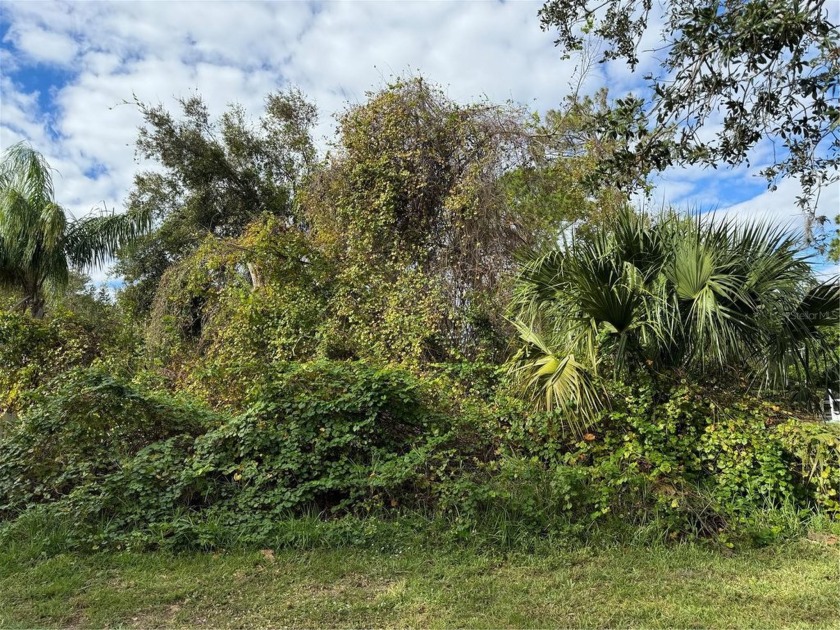 Last remaining vacant lot on a well established Court in Laken - Beach Lot for sale in Palm Coast, Florida on Beachhouse.com