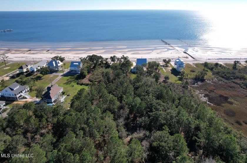 Great Area . You can build a home on each parcel. Great views of - Beach Acreage for sale in Waveland, Mississippi on Beachhouse.com