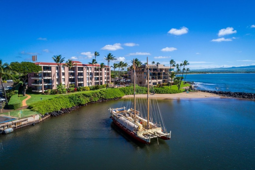 Looking for a spacious, lower-priced one-bedroom condominium on - Beach Condo for sale in Wailuku, Hawaii on Beachhouse.com
