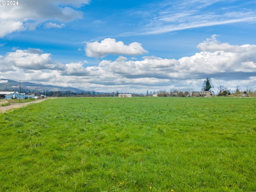 Four possible building sites on this 8.30 acre rural residential - Beach Acreage for sale in Tillamook, Oregon on Beachhouse.com