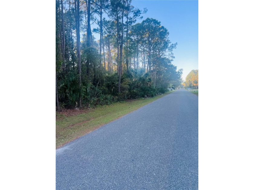 Perfect location in Seminole Woods subdivision of Palm Coast to - Beach Lot for sale in Palm Coast, Florida on Beachhouse.com