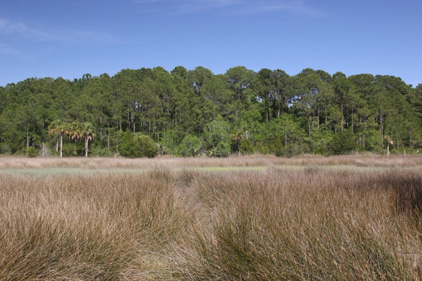 Developers, builders, investor take note! 3 Parcels bundled for - Beach Acreage for sale in Mount Pleasant, South Carolina on Beachhouse.com