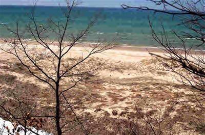 7+ acres and 202 feet of Lake Michigan frontage.  Just 1 mile - Beach Acreage for sale in Pentwater, Michigan on Beachhouse.com