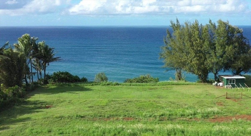 Spectacular views combined with one of the most desired - Beach Acreage for sale in Kilauea, Hawaii on Beachhouse.com