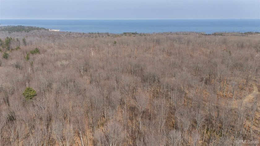 10.02 Acres of Pure Michigan Paradise - Lake Access Included! ?? - Beach Acreage for sale in Manistique, Michigan on Beachhouse.com