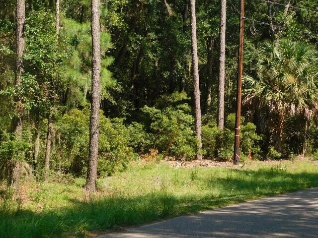 2.67 Acre Estate Size property in the desirable Neck Subdivision - Beach Acreage for sale in Edisto Island, South Carolina on Beachhouse.com