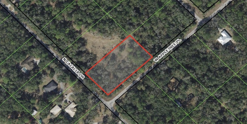 Discover the perfect balance of space, privacy, and convenience - Beach Lot for sale in Crystal River, Florida on Beachhouse.com