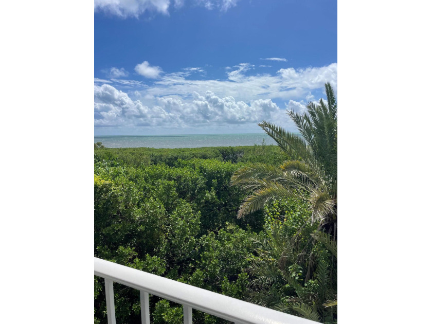 Updated 2/2 with Ocean Views !! Building 4 is the closet - Beach Condo for sale in Key Largo, Florida on Beachhouse.com