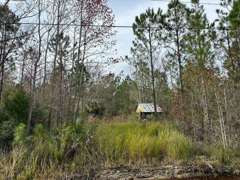 **This amazing lot has 1.45 acress and already has septic and - Beach Lot for sale in Bunnell, Florida on Beachhouse.com