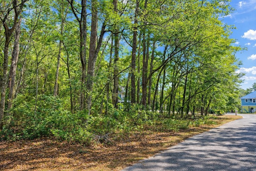 Beautiful homesite in coveted Crawford Place on Edisto Island - Beach Lot for sale in Edisto Island, South Carolina on Beachhouse.com