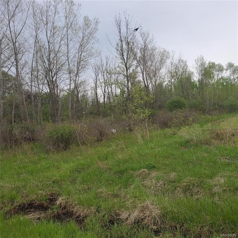This 9.08 acre parcel is just minutes from the Village of Wilson - Beach Acreage for sale in Wilson, New York on Beachhouse.com