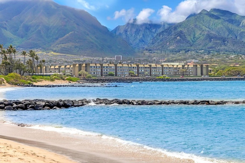 Surf's up! Step across the street for a quick surf or wingfoil - Beach Condo for sale in Kahului, Hawaii on Beachhouse.com