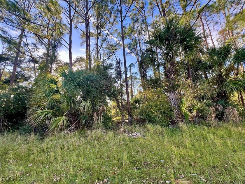 Beautiful lot offers a unique opportunity to build the home of - Beach Lot for sale in North Port, Florida on Beachhouse.com