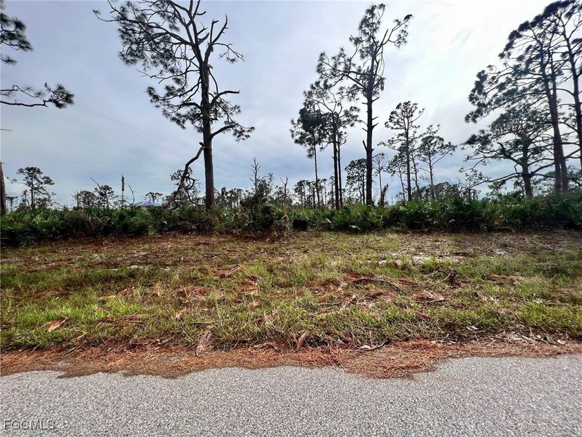 Beautiful lot offers a unique opportunity to build the home of - Beach Lot for sale in Placida, Florida on Beachhouse.com