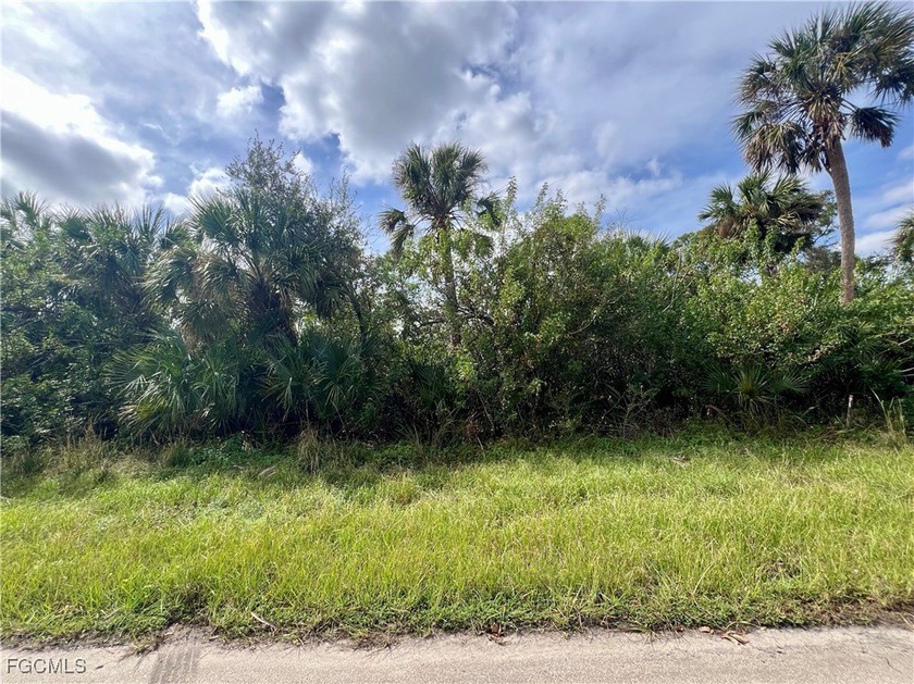 Beautiful lot with a wide canal with a northeastern front view - Beach Lot for sale in Port Charlotte, Florida on Beachhouse.com